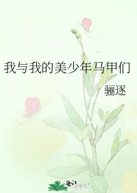 我與我的美少年馬甲們